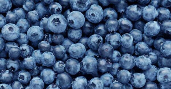Blueberries 12/1-Pint